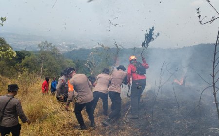Polda Jatim dan Tim Gabungan Tangani Karhutla Gunung Arjuno Sisir 4 Wilayah